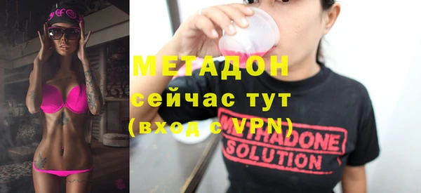 индика Новозыбков