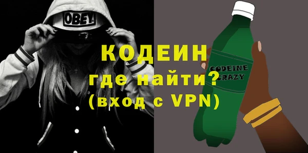 индика Новозыбков
