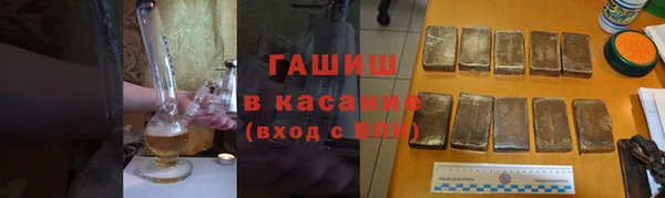 индика Новозыбков