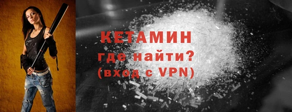 индика Новозыбков